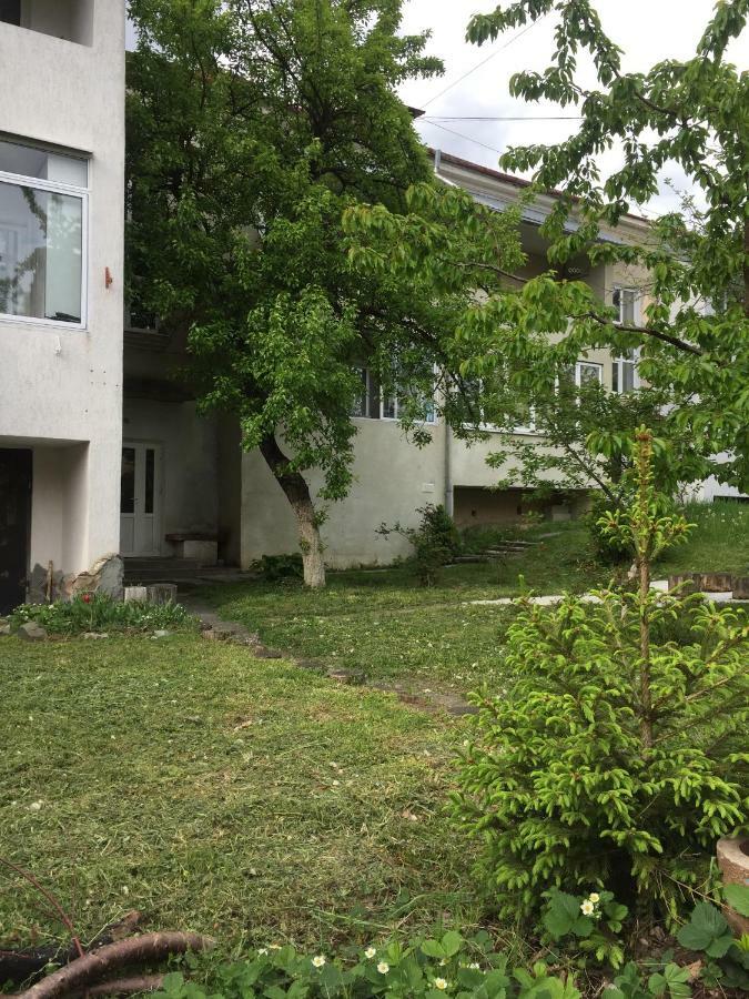 Квартира-Студія Шале Truskavets Exterior foto